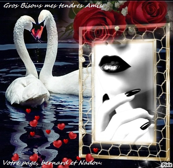 Gros bisous mes Ami(es)